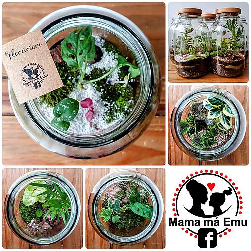 Dekorácie - Florárium od MamaMáEmu - 15116410_