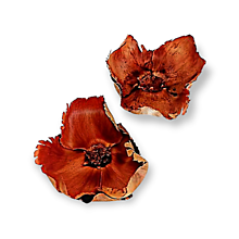 Suroviny - Prírodný palmový kvet rozvinutý H02300 - 15126339_