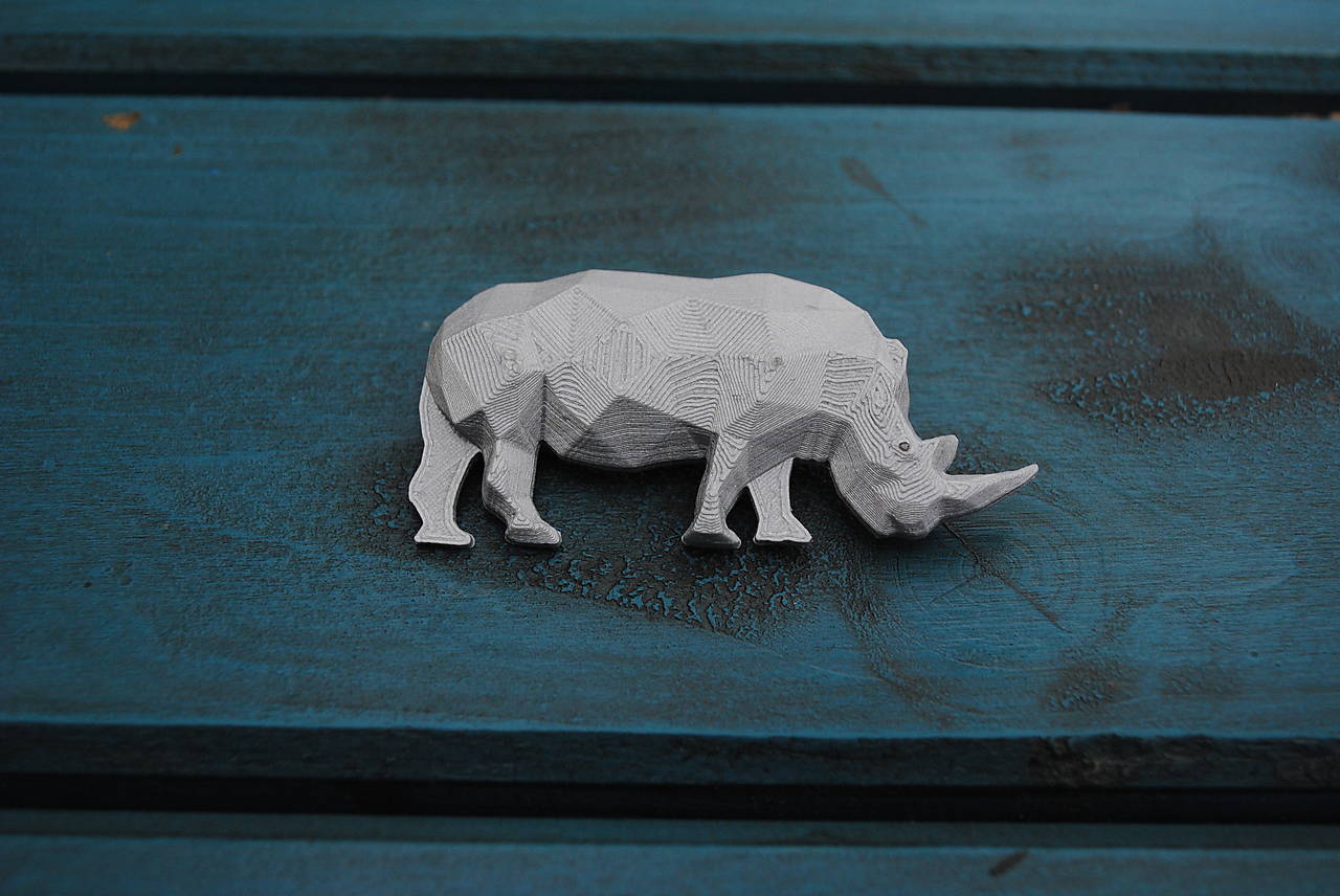 Nosorožec strieborný 
