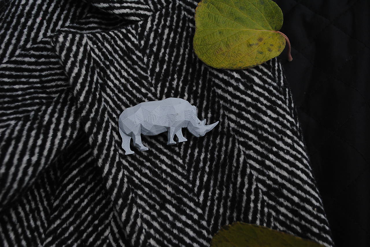 Nosorožec strieborný 
