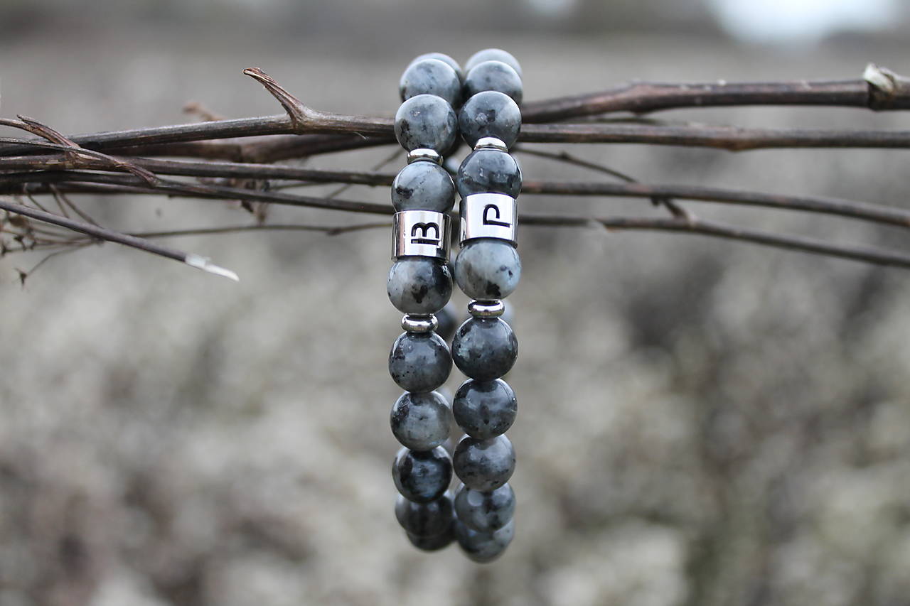  Larvikit _partnerské _iniciálka