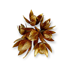 Suroviny - Sušený kvet WILDLILIE - Medený H00352 - 15129710_