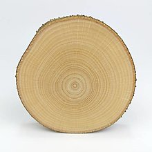 Dekorácie - Drevené plátky lieskové Ø 1-10cm (Ø 6-7cm hrúbka cca 8-9mm) - 15140167_