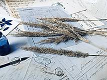 Suroviny - Lúčne trávy – Smlz kroviskový (Calamagrostis epigejos) - 15152861_