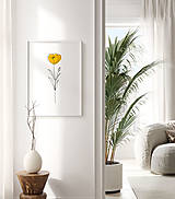 Grafika - Line Art obraz na stenu - Žltý Mak - 15153721_