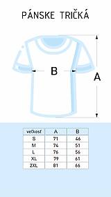 Topy, tričká, tielka - Pánske tričko Lomnický štít 2634 m n. m. - 15154946_