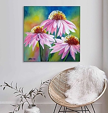 Obrazy - Echinacea 50x50 - 15163504_