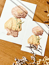 Grafika - S hlavou v rozkvete - Print | Botanická ilustrácia - 15186141_
