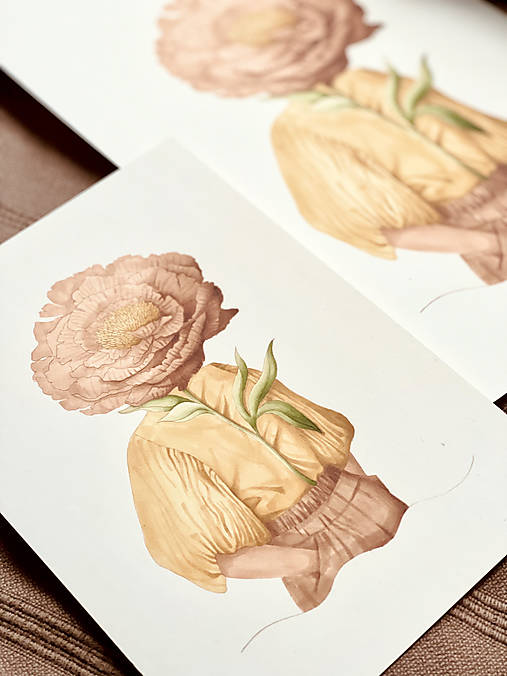 S hlavou v rozkvete - Print | Botanická ilustrácia
