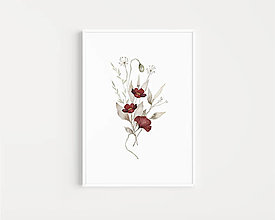 Grafika - Akvarelový art print na stenu - Bordové lúčne kvety - 15189462_