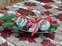 Dekorácie - Vianočná guľa - hýľ, červienka, sýkorka - 15204295_