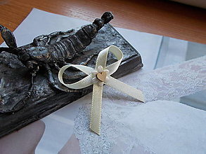 Svadobné pierka - svadobné pierko pre hostí - 15209911_