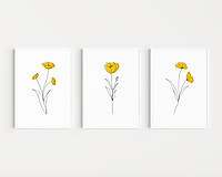 Grafika - Set 3 kvetinových obrazov - Žlté Maky - 15214872_
