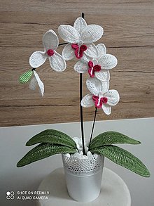 Dekorácie - Orchidea háčkovaná. - 15216557_