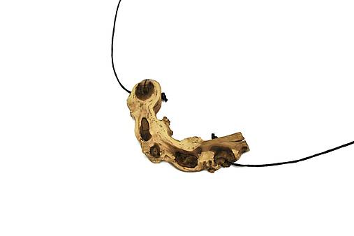 Náhrdelníky - Prívesok vinič - Vitis vinifera č.16 - 15219831_