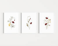 Grafika - Set 3 obrazov akvarel - Lúčne kvety a Motýľ - 15223861_