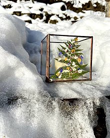 Svietidlá - Svietnik s vianočným stromčekom - 15230600_