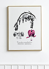 Kresby - Obraz Srdcovka nádherná - Botanická ilustrácia (Print) Valentín - 15245510_