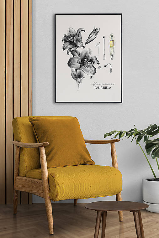 Grafika - Obraz Ľalia biela - Botanická ilustrácia (Print) - 15247758_