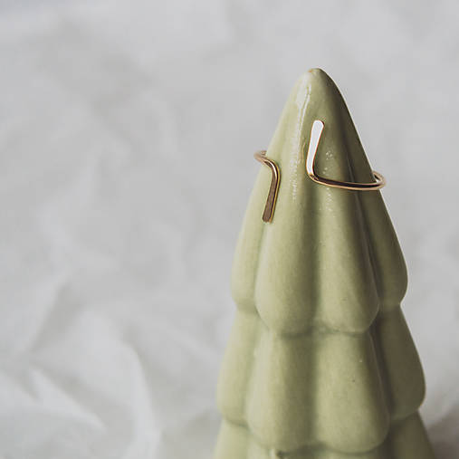 Gold filled prsteň 'North & South'