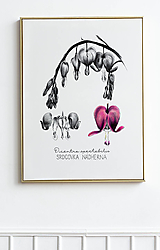 Obraz Srdcovka nádherná - Botanická ilustrácia (Print) Valentín