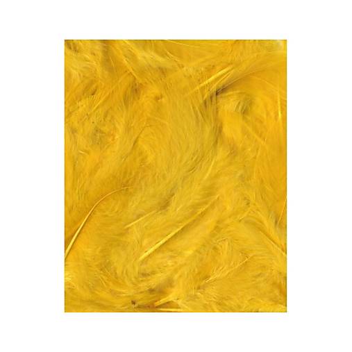 Prírodné pierka 3 g - Žlté A13030017