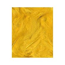 Suroviny - Prírodné pierka 3 g - Žlté A13030017 - 15267987_