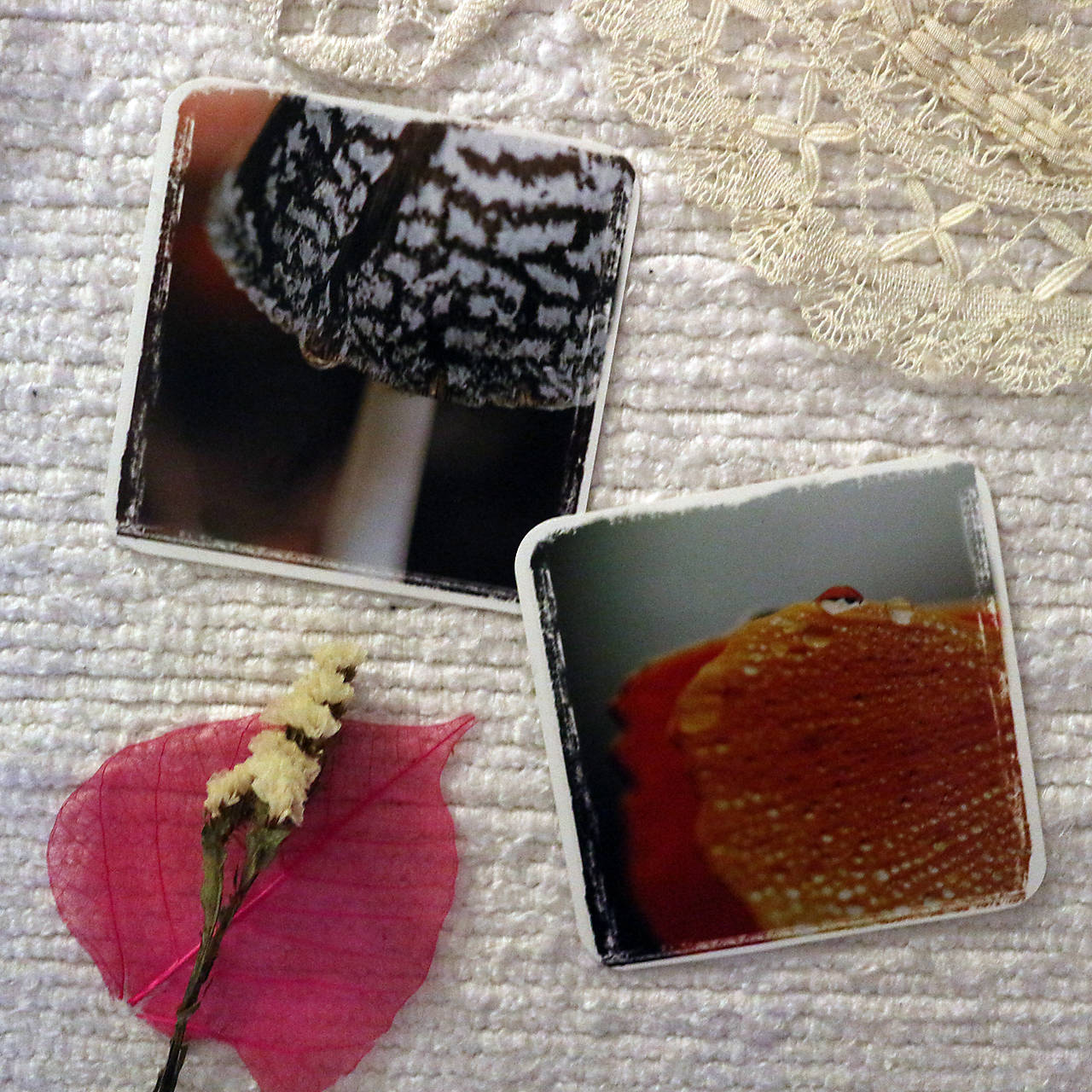 Snivokraje/ balíček nálepiek