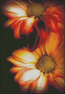 Návody a literatúra - F136 Oranžové kvety - 15279379_