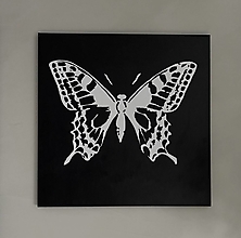 Obrazy - Butterfly effect no.1 - 15282266_