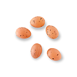 Polotovary - Plastové vajíčka 6 ks - Hnedé fľakaté CAN300 - 15286776_