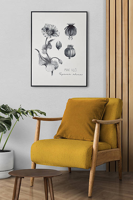 Grafika - Obraz Vlčí mak - Botanická ilustrácia (Print) (A4 Krémový papier s gramážou 300g/m2) - 15286904_