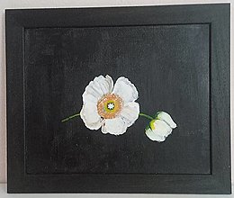 Obrazy - Kvety II. - 15302643_