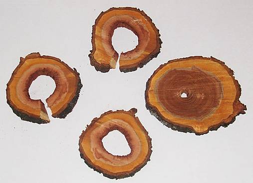  - Drevené plátky - drevo čerešňa, mix priemer - 19 cm, 15 cm, 15 cm a 15,5 cm - 15302719_