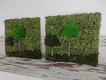 Obrazy - Obrazy z machu 14 a 15: Dva stromy (30 x 30 cm) - 15302148_