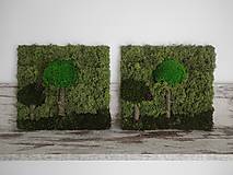 Obrazy - Obrazy z machu 14 a 15: Dva stromy (30 x 30 cm) - 15302149_