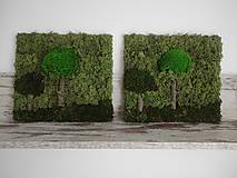 Obrazy - Obrazy z machu 14 a 15: Dva stromy (30 x 30 cm) - 15302150_