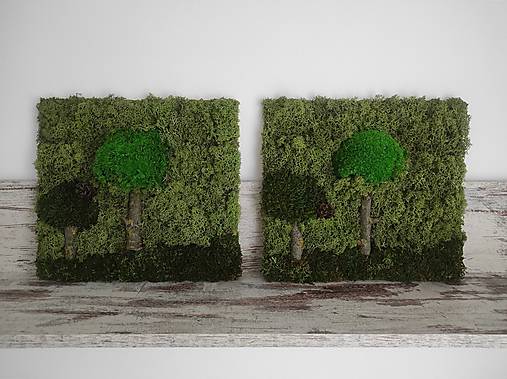 Obrazy z machu 14 a 15: Dva stromy (30 x 30 cm)
