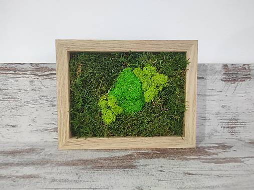 Dekorácie - Obraz z machu 19: Obdĺžnik mini (23 x 18 cm) - 15302275_