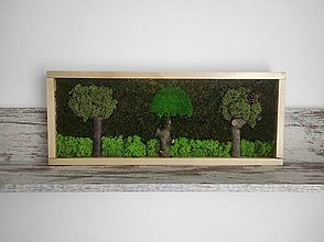 Obrazy - Obraz z machu 16: Tri stromy (60 x 25 cm) - 15302180_