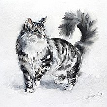 Obrazy - Originálna akvarelová maľba "Mačka" - 15306460_