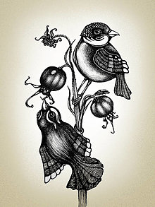 Grafika - Vtáčatká a šípky (A4 / 21 x 30cm - Biela) - 15308151_