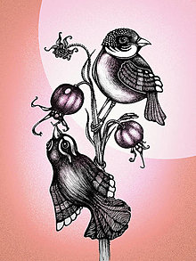 Grafika - Vtáčatká a šípky (A4 / 21 x 30cm - Ružová) - 15308156_