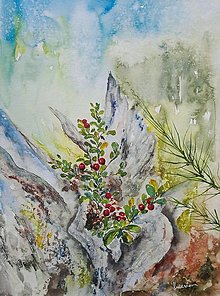 Obrazy - "Uprostred lesa" akvarel A4 - 15314869_
