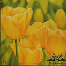 Papier - Kvetinové servítky na decoupage II. (Žlté tulipány) - 15317303_