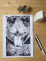 Kresby - Print-Medveď - 15326508_
