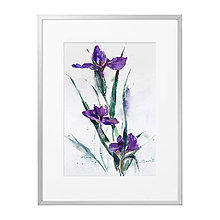 Obrazy - Akvarelový obraz "Irisy" - 15329687_