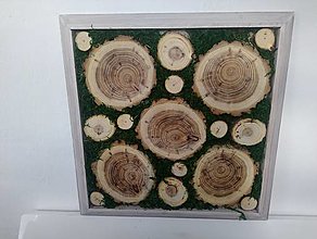 Dekorácie - Agatovy dreveny obraz - 15339861_