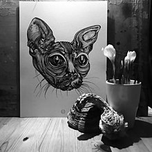 Grafika - Sphynx Cat - originálna grafika, kreslená tušovým perom. (A3 / 30 x 40 cm - Čierno-biela) - 15351485_