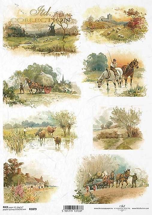 Papier - Ryžový papier  - 15358907_
